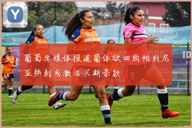 葡萄牙媒体报道葡体欲回购帕利尼亚热刺或激活买断条款