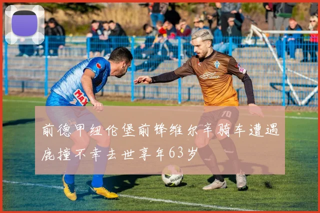 前德甲纽伦堡前锋维尔辛骑车遭遇鹿撞不幸去世享年63岁